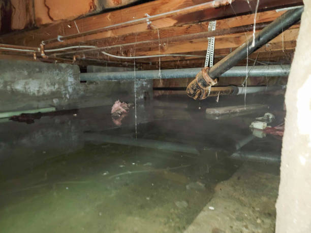 Best Basement water damage restoration  in Bennett, CO