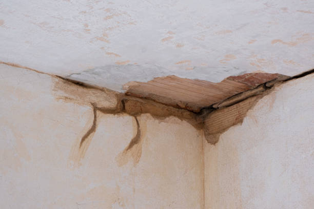 Best Water damage restoration company  in Bennett, CO