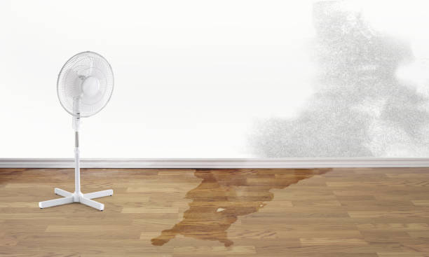 Best Water damage contractors near me  in Bennett, CO